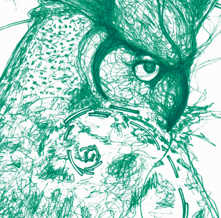 Great Horn Owl Sketch 8x8 Framed Print (Green)